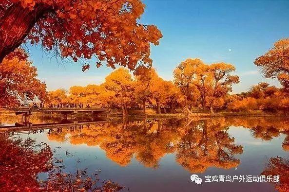 害怕恐惧症