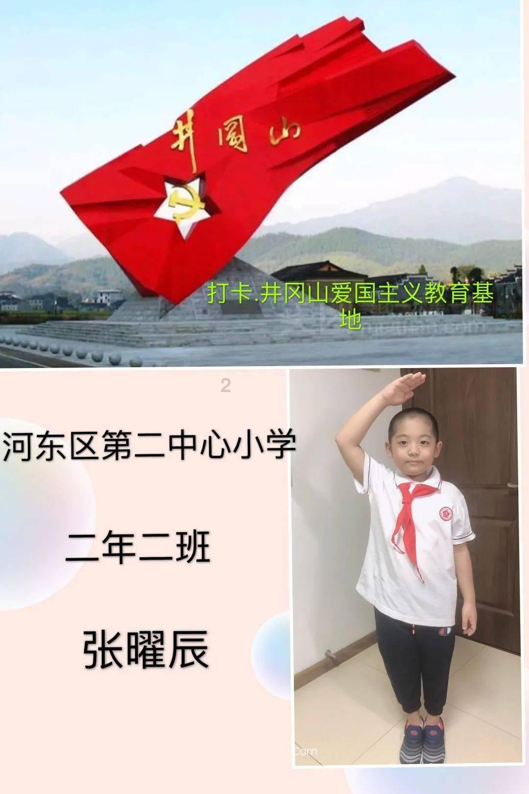 植物大战僵尸4