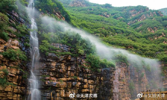 小僵尸射飞鸟